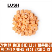 [LUSH] 러쉬 Brave 투시탭 고체치약, 씹는치약 45g-도톤보리몰